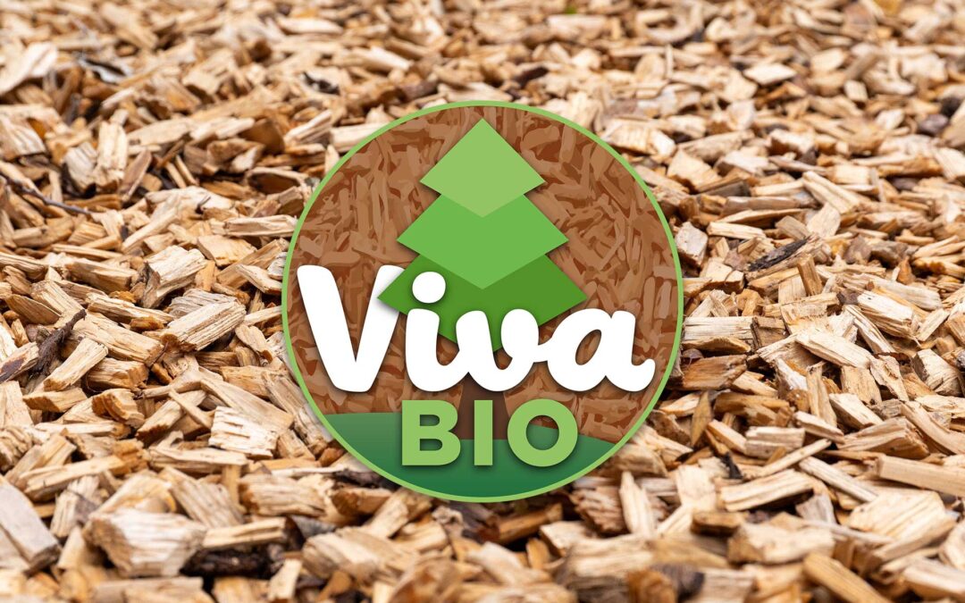 VivaBio. Il banner informativo del progetto