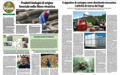 Biologico forestale nella filiera vivaistica. Speciale VivaBio su Dimensione Agricoltura di febbraio 2025, i risultati del progetto
