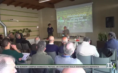 VIDEO / VivaBio: produzioni forestali innovative per migliorare la sostenibilità vivaistica. I risultati del progetto