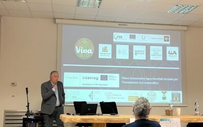 I risultati del progetto Vivabio presentati nel convegno “Gli effetti positivi dei boschi” a Campotizzoro